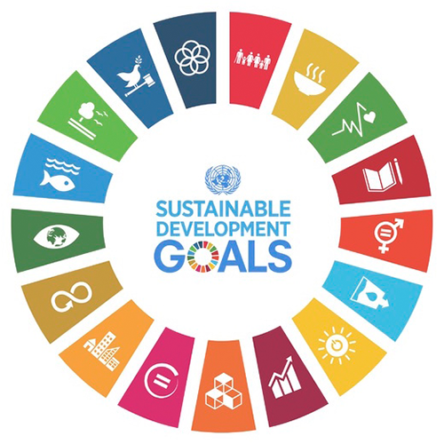 SDG Logo.